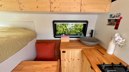 Roxy – 2p Fiat bus uit 2023