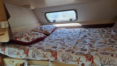 Tony's camper – Ford transit 2.5