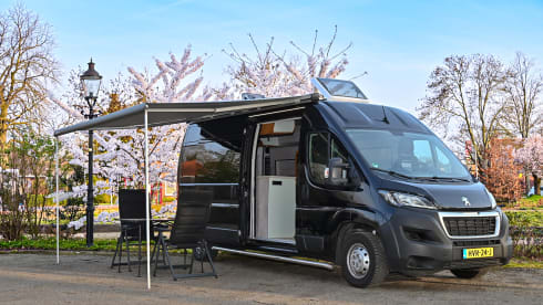 3-seater Peugeot bus from 2026