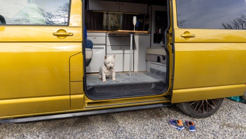 Goldbug – Stunning Luxury VW - Sleeps 4 with awning