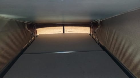 Coconut – 4p Volkswagen Westfalia California from 1991
