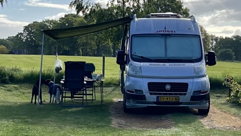 Fijne compacte buscamper – 2-person Pössl bus from 2012