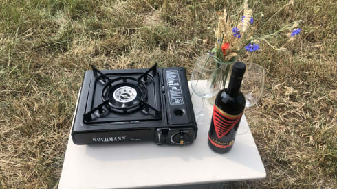 Willi – Vermiete Renault Kangoo Minicamper Eigenumbau