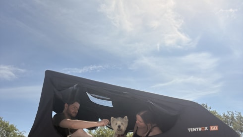 Disco Bus  – 4-persoons campervan, modeljaar 2017