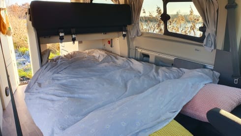  Ford Westfalia Nugget – 4p Westfalia Nugget from 2022