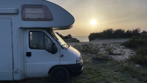 Miss Honey –  The most stylish family camper is looking for warm adventurers!