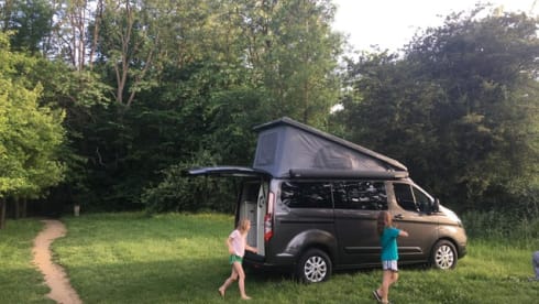 Campervan – Westfalia Ford Nugget - Campervan 4 persons