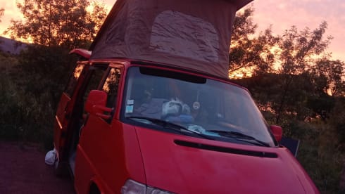 Multivan – Van VW, der Abenteurer geht überall hin 4/5 Betten