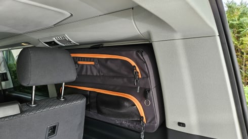 California Beach Camper 6.1