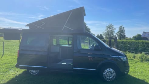 Volkswagen van from 2023