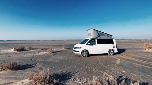 Le Poto Blanco  – T6 California Ocean