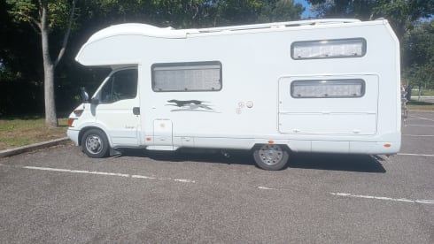 FELU ♥️ – FELU ♥️