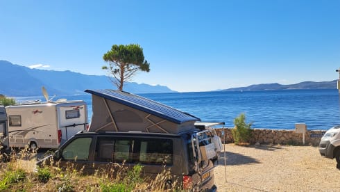 Volkswagen California T5 automatic 4P