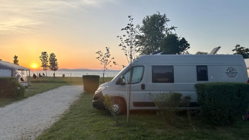 Fiat Ducato Kastenwagen 4 Schläfer mit MAX FAN