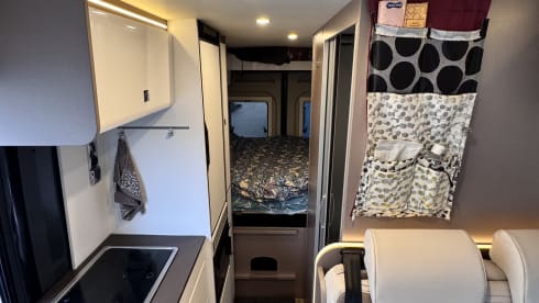 Buster – 4 Berth Bürstner Eliseo from 2023