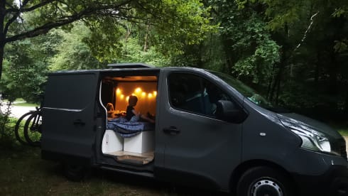 cozy campervan for 2 (to 3) people 