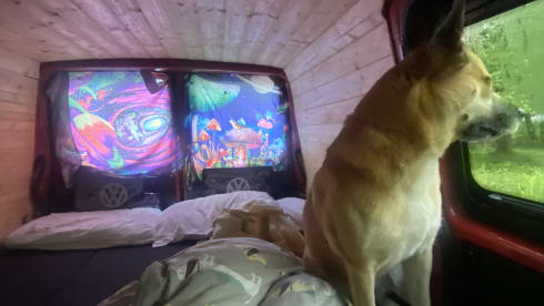 Emancipator  – 2 Berth VW T4 from 1997