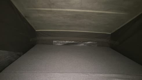 Vintage in freedom - T3 Westfalia