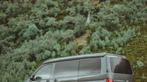 Harley – When Dog Friendly Means Dog Friendly - Luxury VW T6.1 Campervan