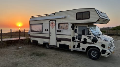 koetje – is a great family camper for 5-6 people and 2 m headroom