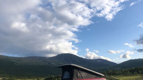 Mambo No.1 – Volkswagen Campervan 'Extra long' 