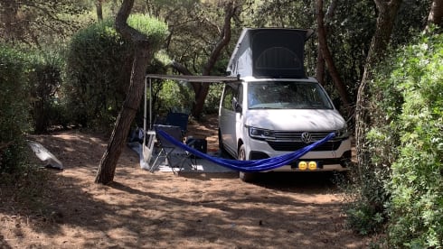 Cali – Volkswagen California Beach