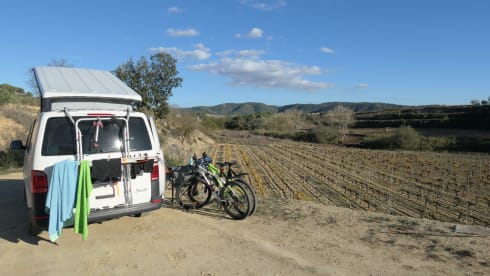 Shenkie – 2p Volkswagen campervan from 2015