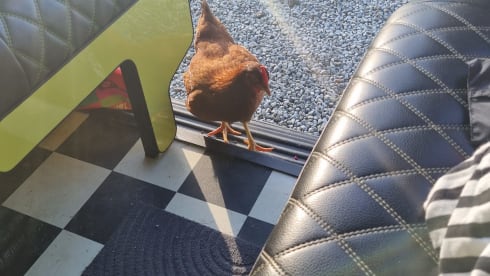 Sunshine  – Sunshine un T6.1 4 couchages Assurance incluse.