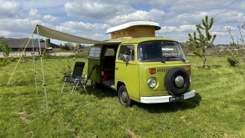 The Hulk – Westfalia – Beautiful Classic Camper For Rent! 