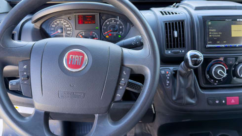 Witte Vlegel – Mclouis Menfys Matic 