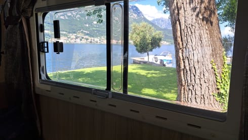 Feel free and carefree with your family