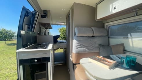 WAVE RIDER – DOLPHIN C 621