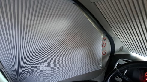 Bubble Adria – Fiat Globecar bus camper