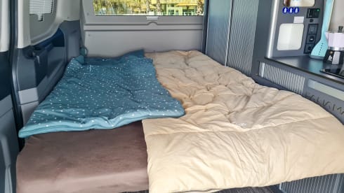 Harry Trotter – 4p Other campervan from 2024