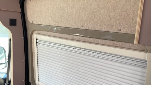 Vogelvlucht – 2p Fiat bus uit 2021