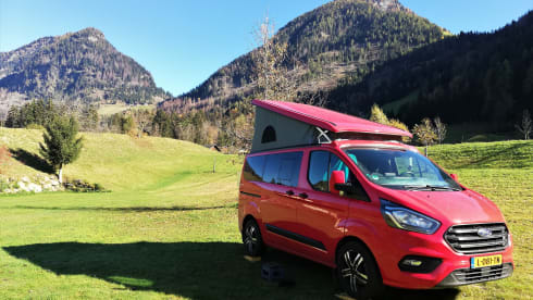Ford Nugget uit 2021 – Travel in Red
