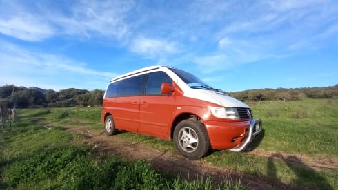 VANTASTIK RENTAL CAMPERVAN – MERCEDES MARCO POLO - VANTASTIK RENTAL CAMPER