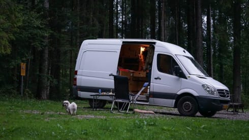 Atmospheric Mercedes-Benz bus camper 2 person "My Benz"