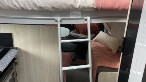 Archie the Automatic – 4 berth Chausson semi-integrated from 2019