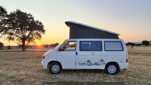 Calì  – Salento in a T4 California Coach van