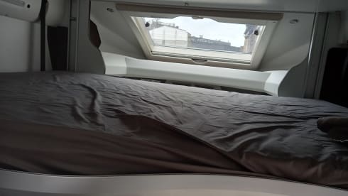 4p Benimar cocoon 463 Semi-Integral from 2021
