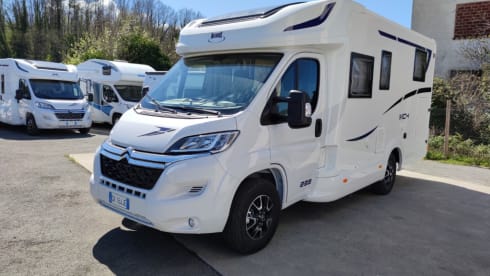 MC4 - 239 – MCLOUIS MC4 331