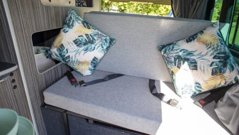 Mushy Pea – 2+2 berth Ford bus from 2006