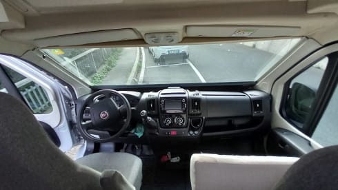 Petunia – The freedom to live in all the wonderful places.