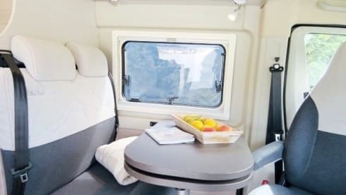 Forest – Campeo Kastenwagen Black Forest