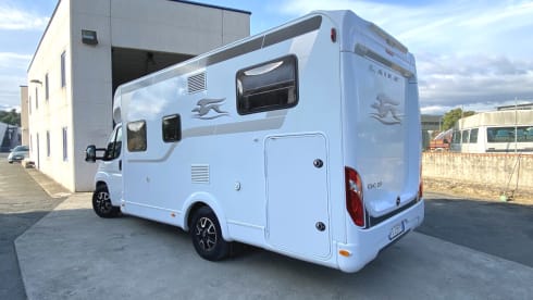 Laika Kosmo 209 – Laika Kosmo 209