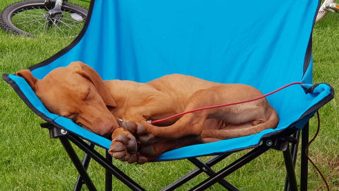 Hymee – Spacious Hymer stylish custom interior