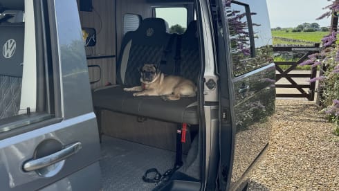 Camper van Dijk – 4 berth Volkswagen Transporter Pop Top Camper