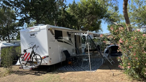 4p Laika ab 2024 integriert