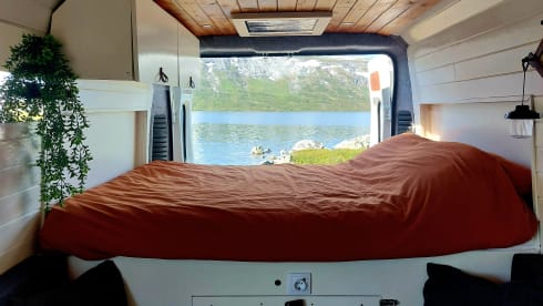 Otto – Go on an adventure with Otto